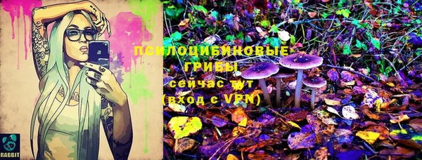 не бодяженный Дмитров