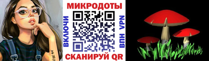 Псилоцибиновые грибы MAGIC MUSHROOMS  Заозёрный 