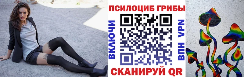 Псилоцибиновые грибы Cubensis Заозёрный
